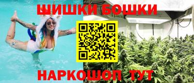 индика Обнинск