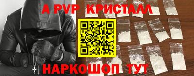 индика Обнинск