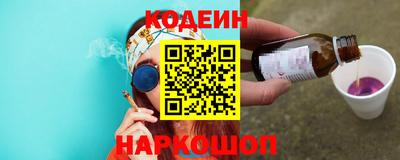 индика Обнинск